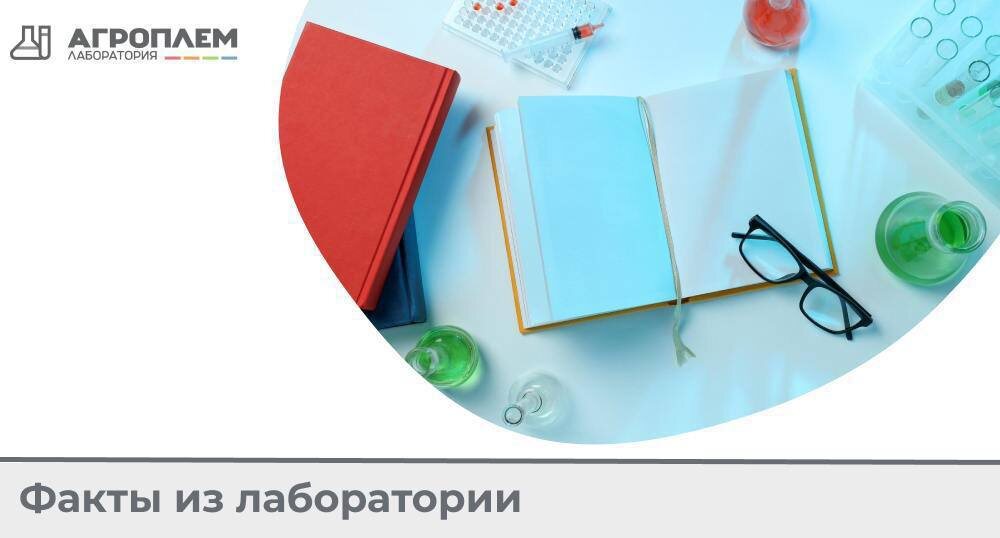 Несколько фактов о некрогеморрагическом энтерите
