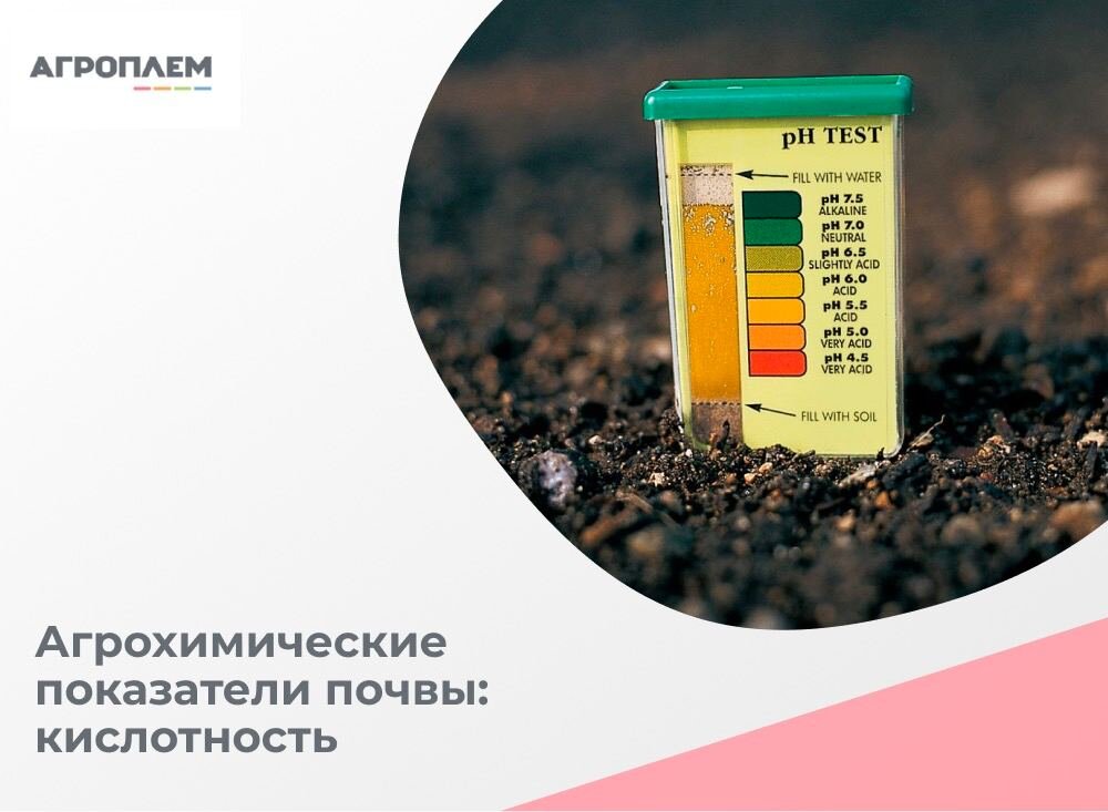 Агрохимические показатели почвы и зачем мы их определяем: кислотность (pH)