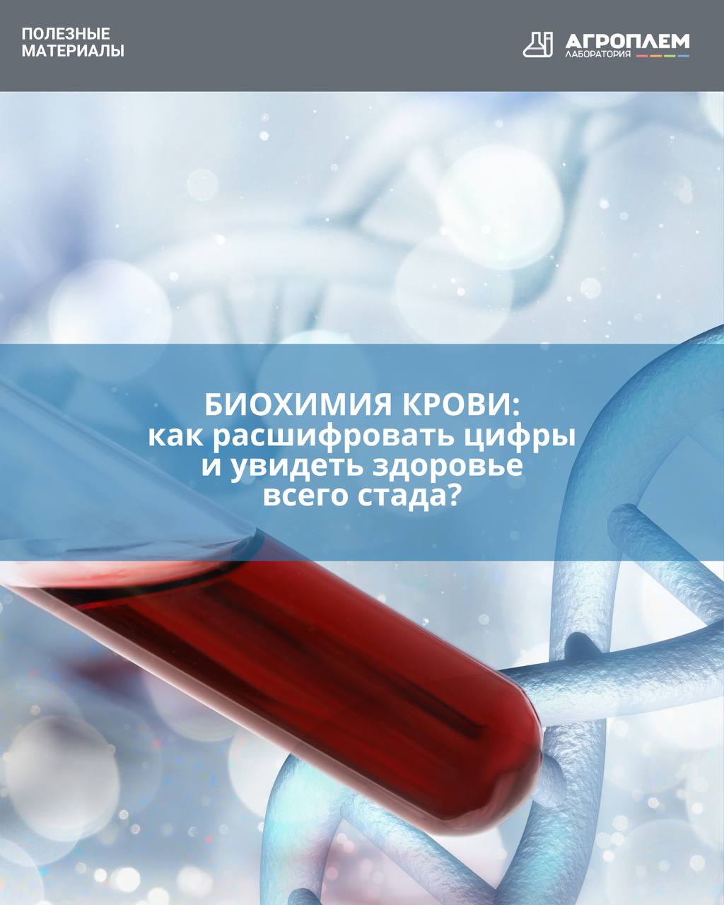Биохимия крови: как по цифрам увидеть здоровье всего стада?