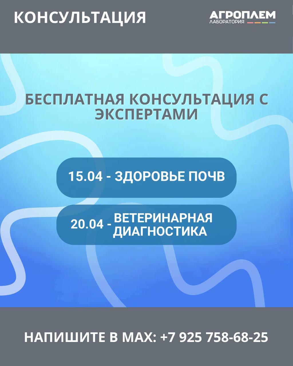 Бесплатная консультация с экспертами