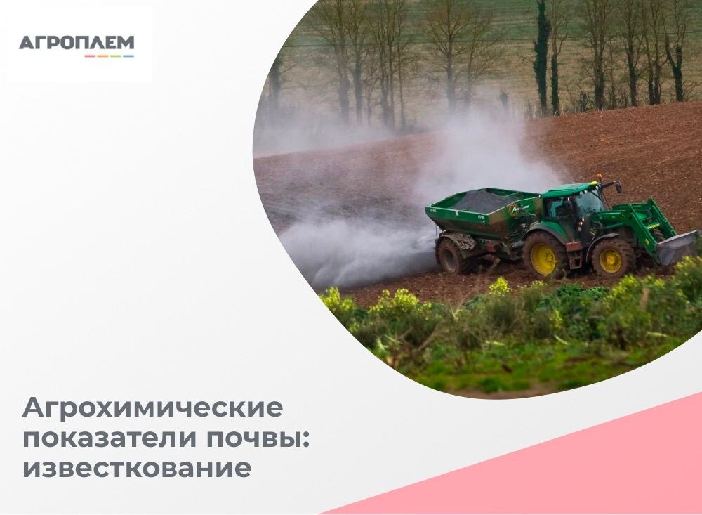 Известкование почвы – когда, как и для чего?