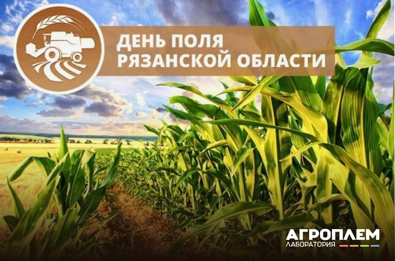 День поля Рязанской области