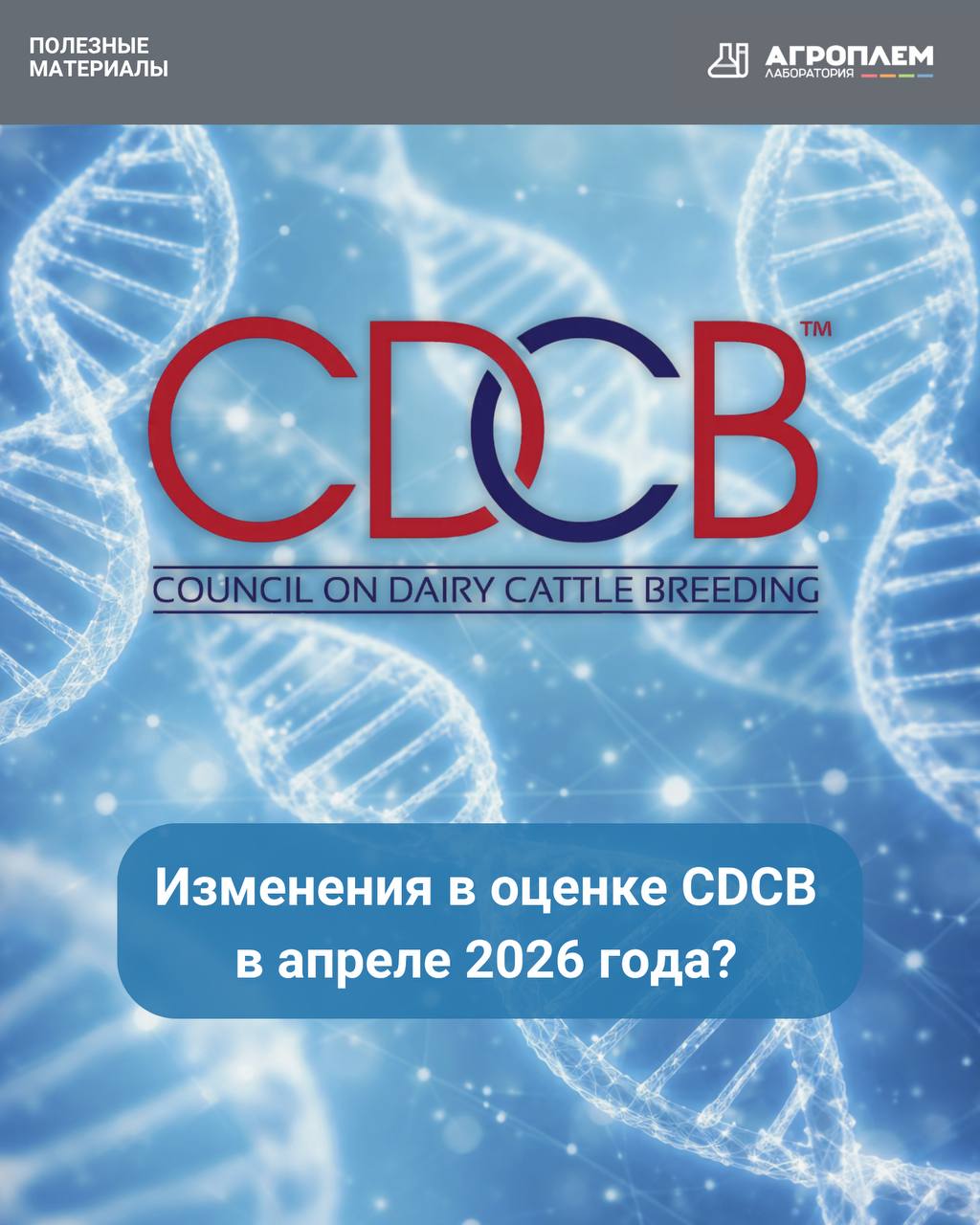 Изменения в оценке CDCB в апреле 2026 года