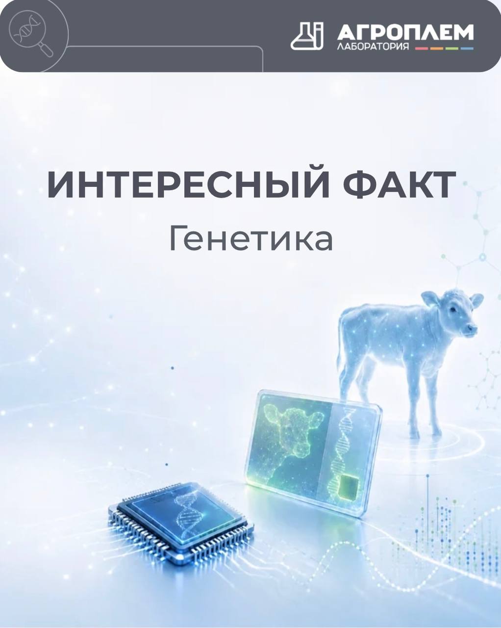Генетика в&nbsp;фактах от&nbsp;&laquo;Агроплем&raquo;