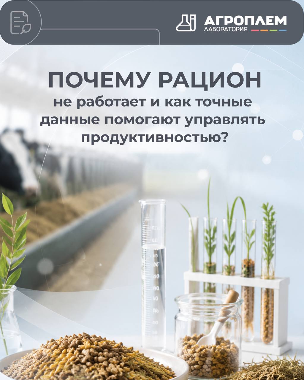 Почему рацион не&nbsp;работает и&nbsp;как точные данные помогают управлять продуктивностью?