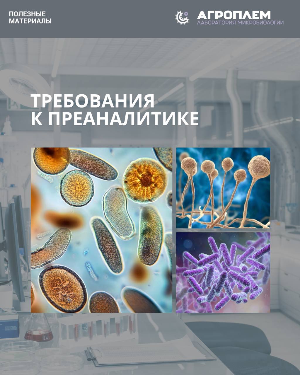 Достоверные данные начинаются с правильной преаналитики