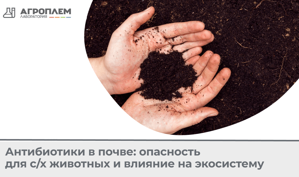 Антибиотики в почве: опасность для с/х животных и влияние на экосистему