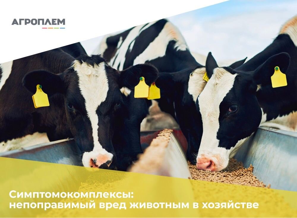 Какие симптомокомплексы наносят непоправимый вред животным в хозяйстве