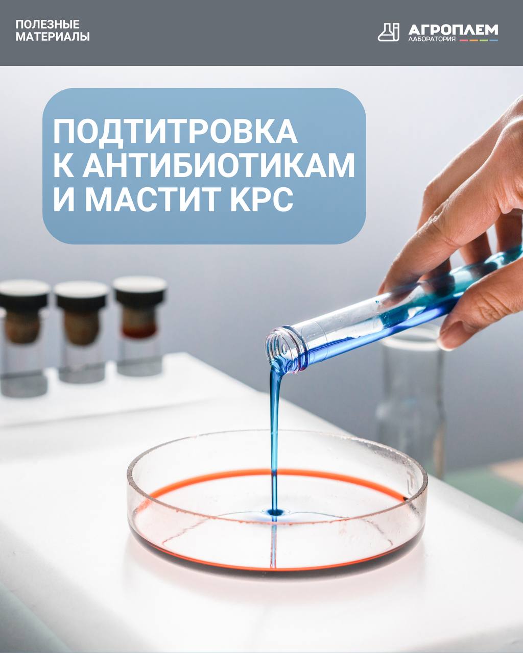 Подтитровка к антибиотикам и мастит КРС