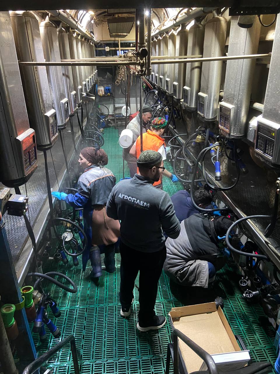 Выездной аудит КАС: Владимирская область