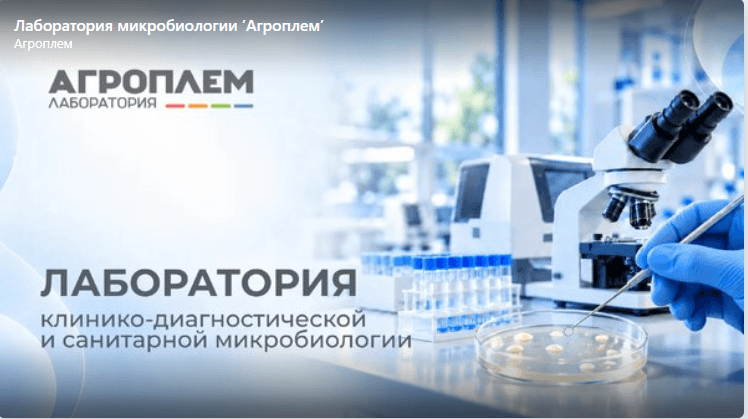 Мы запускаем видео-тур по нашей лаборатории микробиологии