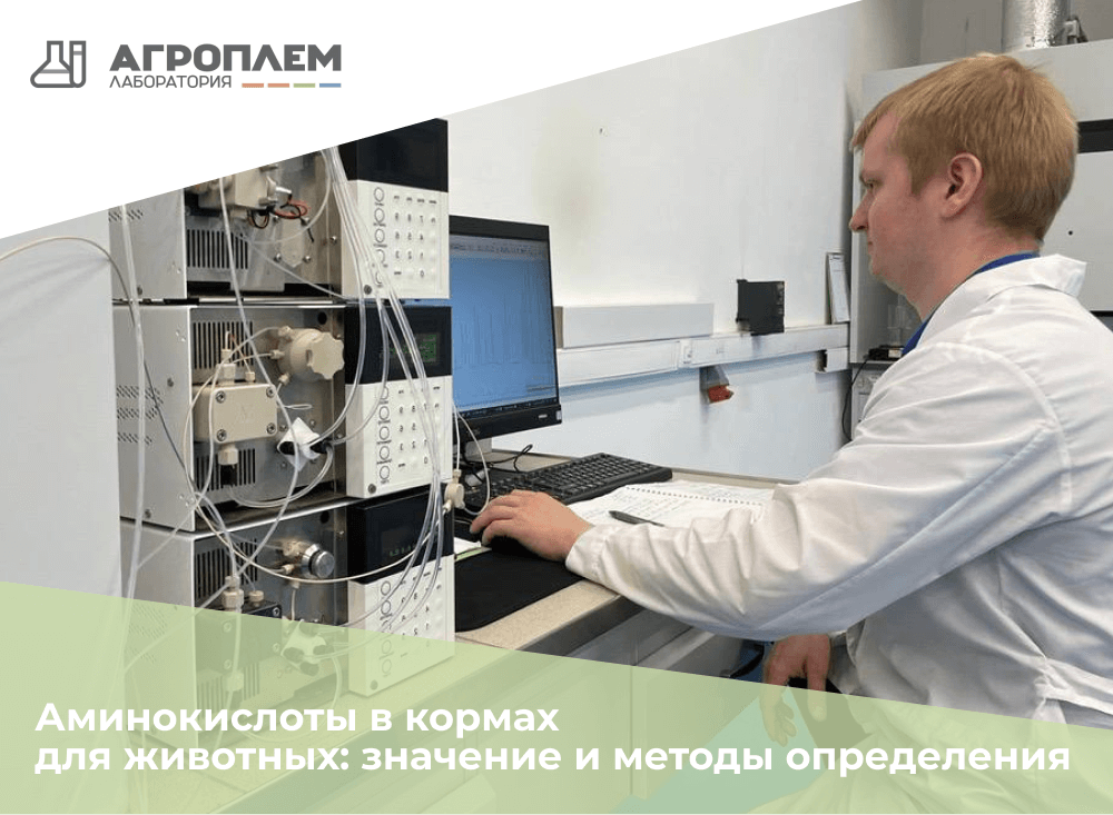 Аминокислоты в кормах для животных: значение и методы определения