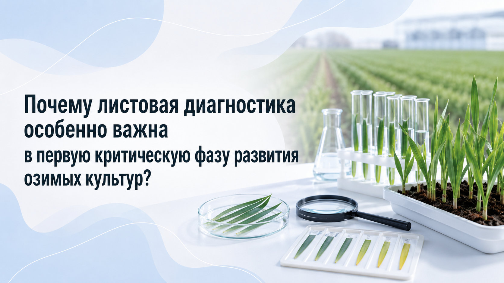 Значение растительной диагностики методом озоления для повышения урожайности