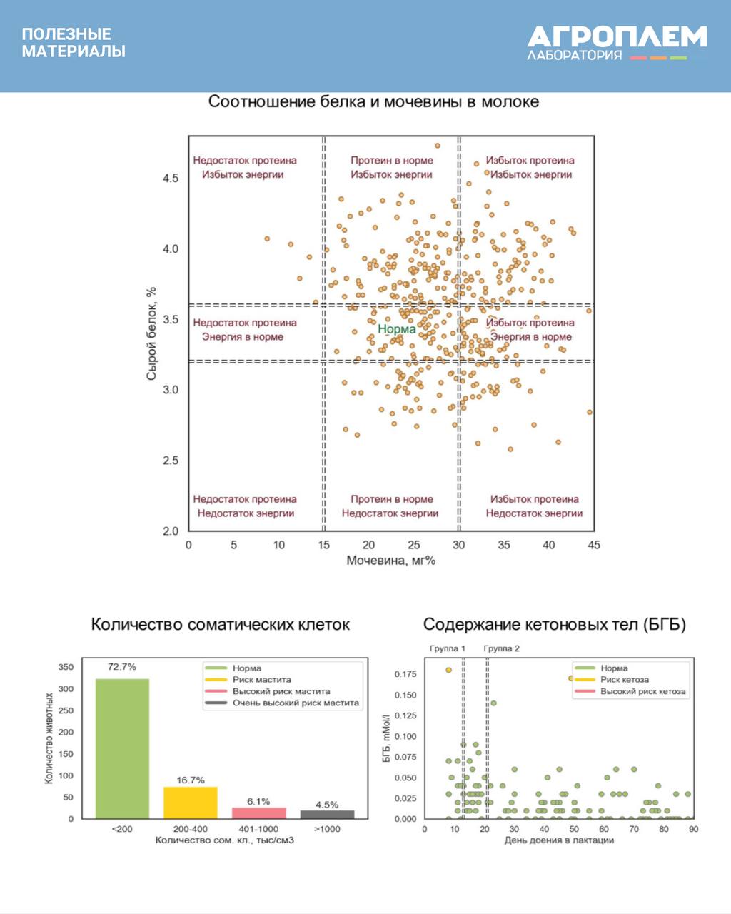 Как часто нужно сдавать молоко на анализ при мастите у поголовья?