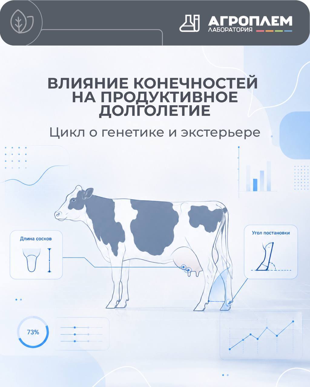 Влияние конечностей на продуктивное долголетие