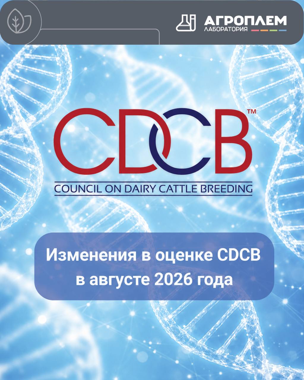 Изменения в оценке CDCB в августе 2026