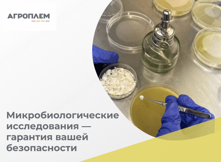 Можно ли быть на 100% уверенными в безопасности без оценки микробиологии?