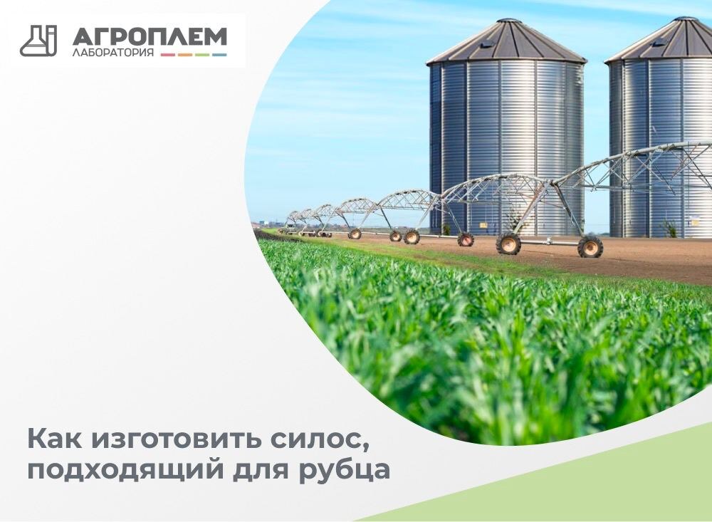 Изготовить силос, подходящий для рубца