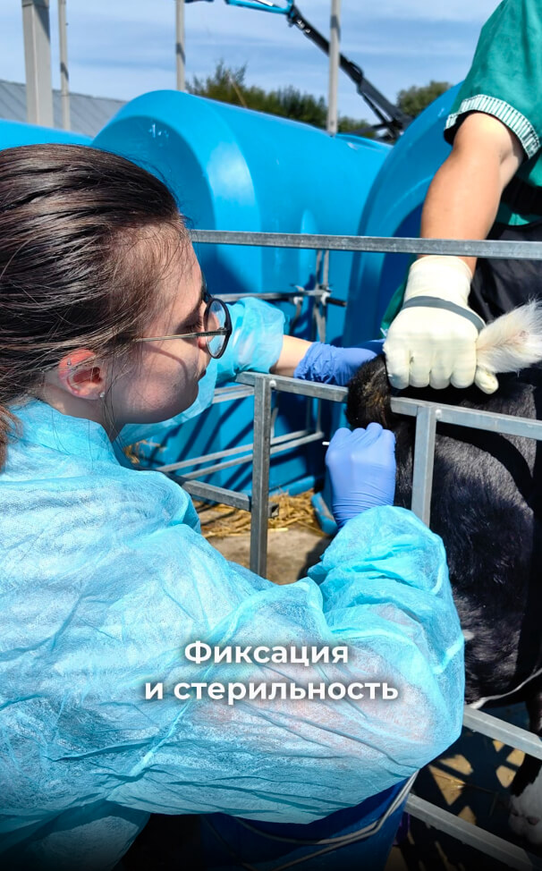 Отбираем ректальные смывы правильно