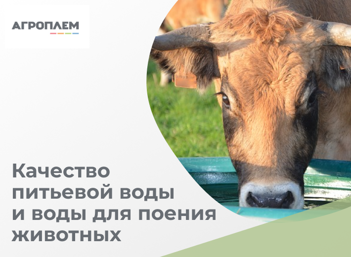 Оценка качества питьевой воды и воды для поения животных