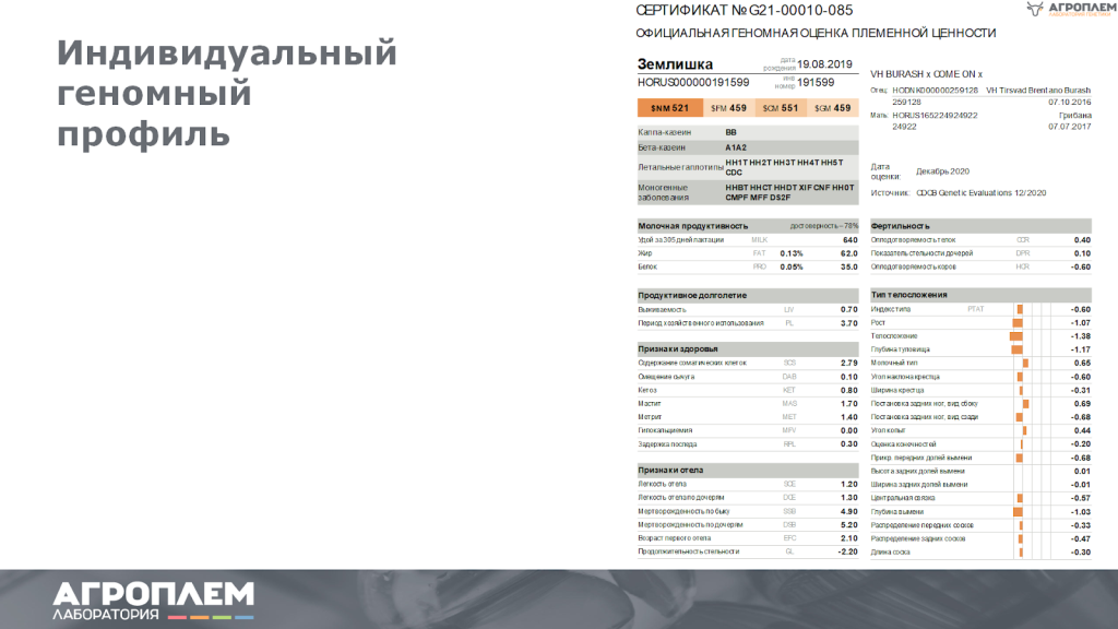индивидуальный геномный профиль
