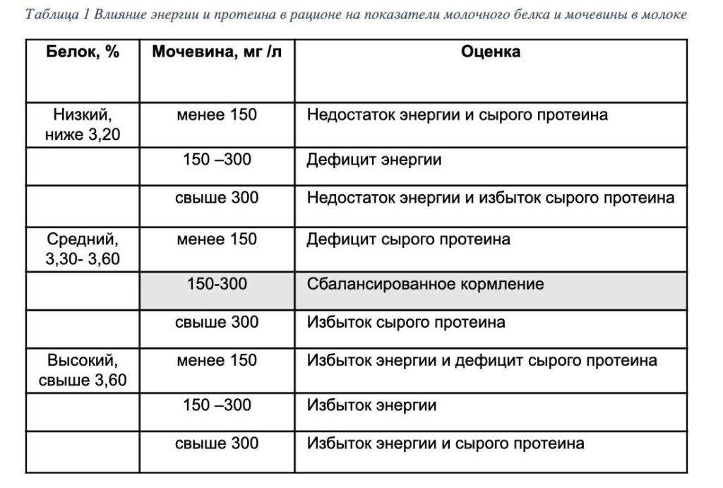 Содержание протеина в молоке