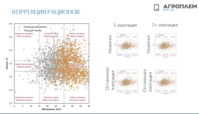 коррекция рационов по результатам анализа
