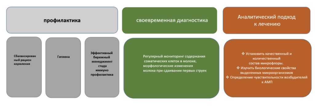 аспекты лечения мастита